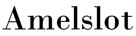 Amelslot